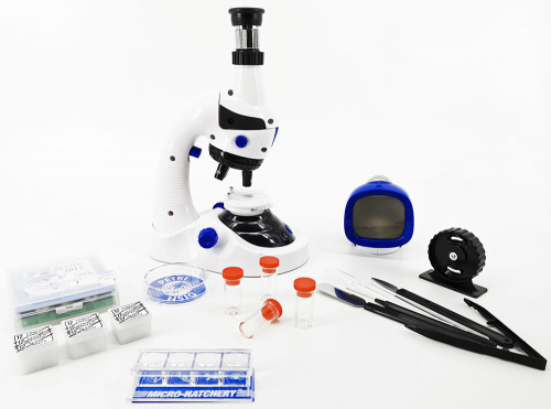 8d26eb58-cf36-11ef-9d2e-000c29e1040d